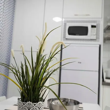 Centrico Apartamento Cerca De La Playa 아파트 푸에르토 드 라 크루즈